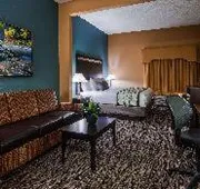 Best Western Plus McDonough Inn & Suites hotel detail image 4