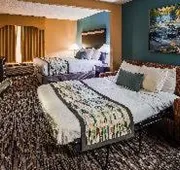 Best Western Plus McDonough Inn & Suites hotel detail image 7