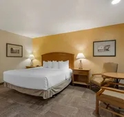Best Western Pioneer hotel detail image 5