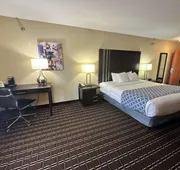 Best Western Plus Bass Hotel & Suites hotel detail image 5