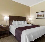 Best Western Plus Grapevine Inn hotel detail image 5