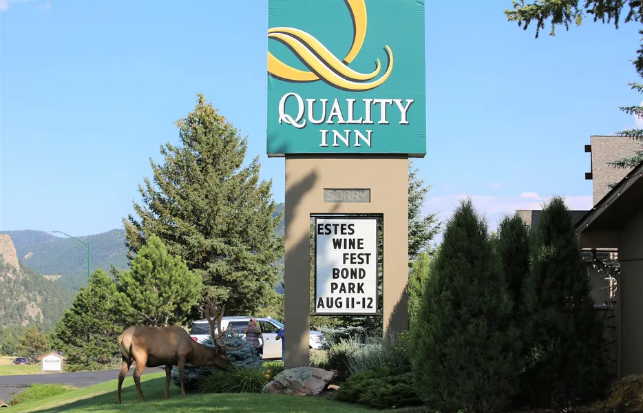 Quality Inn near Rocky Mountain National Park hotel detail image 2