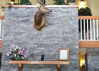 Chief Logan Lodge hotel thumbnail 5