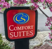 Comfort Suites Monroeville - Pittsburgh East hotel detail image 4