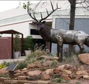 Apache Casino Hotel hotel detail image 5