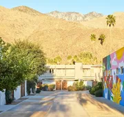 Ace Hotel & Swim Club Palm Springs hotel detail image 4