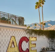Ace Hotel & Swim Club Palm Springs hotel detail image 5