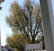 The Dansereau House hotel detail image 7