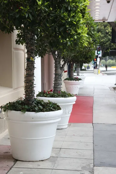 Hotel Carmel hotel detail image 2