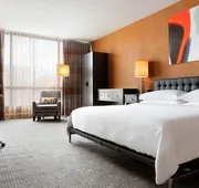 Sheraton Charlotte Hotel hotel detail image 7