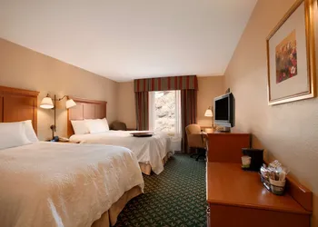 Hampton Inn By Hilton Canon City hotel thumbnail 5