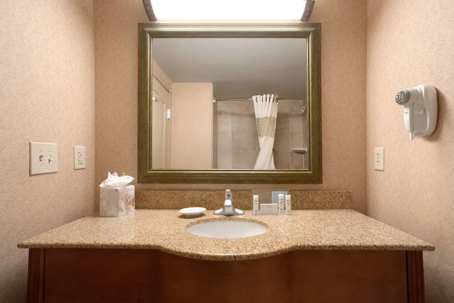 Hampton Inn By Hilton Canon City hotel detail image 6
