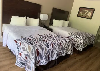 Red Roof Inn Clearfield hotel thumbnail 3