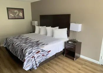 Red Roof Inn Clearfield hotel thumbnail 5