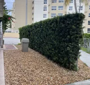 Beach Place Hotel hotel detail image 4