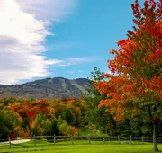 Killington Mountain Lodge, Tapestry Collection by Hilton hotel detail image 7