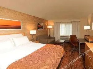 Holiday Inn San Antonio-Dwtn (Market SQ) hotel thumbnail 3