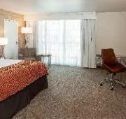 Holiday Inn San Antonio-Dwtn (Market SQ) hotel detail image 4