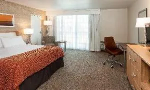 Holiday Inn San Antonio-Dwtn (Market SQ) hotel thumbnail 4