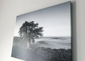 Airport Inn hotel thumbnail 4
