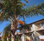 The M Malibu hotel detail image 5