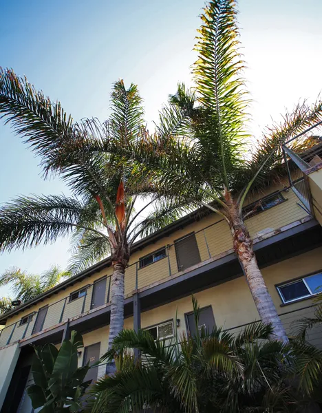 The M Malibu hotel detail image 6