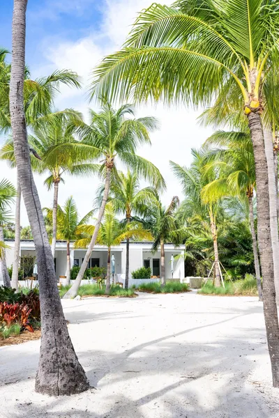 Islander Resort hotel detail image 6