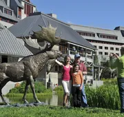 Alyeska Resort hotel detail image 3