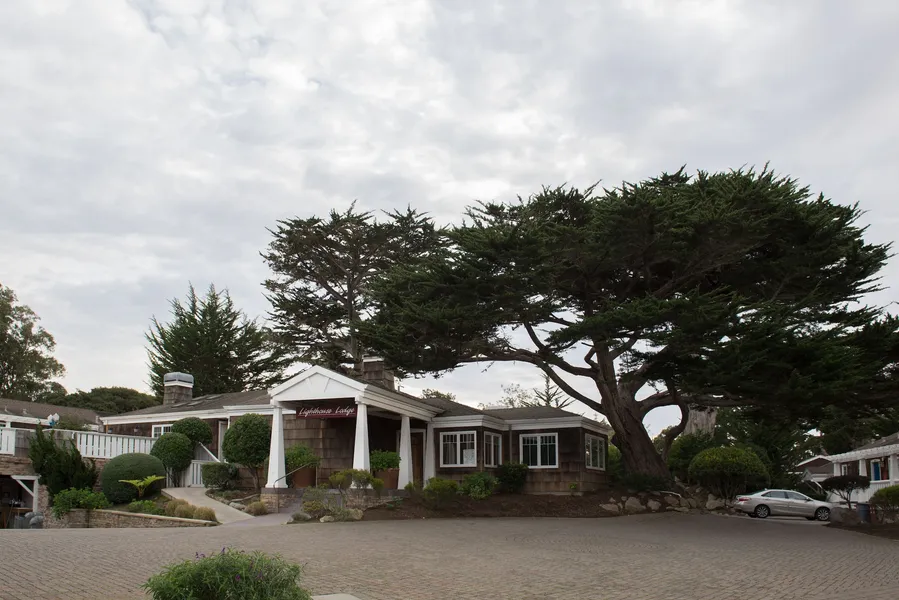 Lighthouse Lodge And Cottages hotel detail image 6