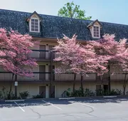 Riverside Inn hotel detail image 3
