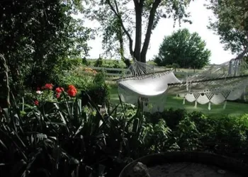 Cozy Rose Inn hotel thumbnail 8