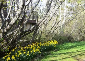 Northland Lodge hotel thumbnail 8