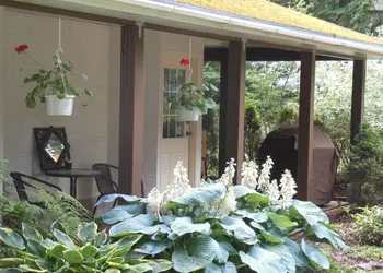 Guesthouse Mountain Escape hotel thumbnail 2