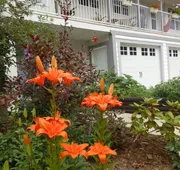 Guesthouse Mountain Escape hotel detail image 4