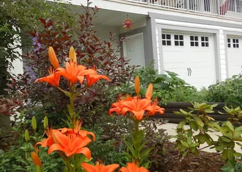 Guesthouse Mountain Escape hotel thumbnail 4