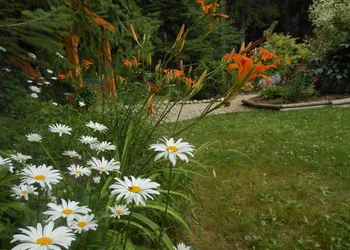 Guesthouse Mountain Escape hotel thumbnail 6