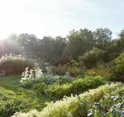 Langdon Hall Country House Hotel & Spa hotel detail image 5