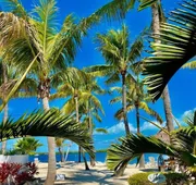 Coconut Palm Inn hotel detail image 4