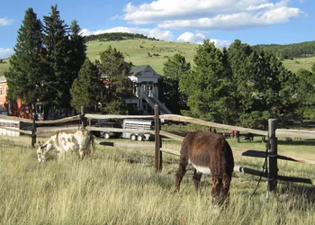 Cripple Creek Hospitality House hotel thumbnail 3