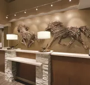 Embassy Suites by Hilton Akron Canton Airport hotel detail image 3