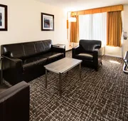 New Hope Inn & Suites hotel detail image 3