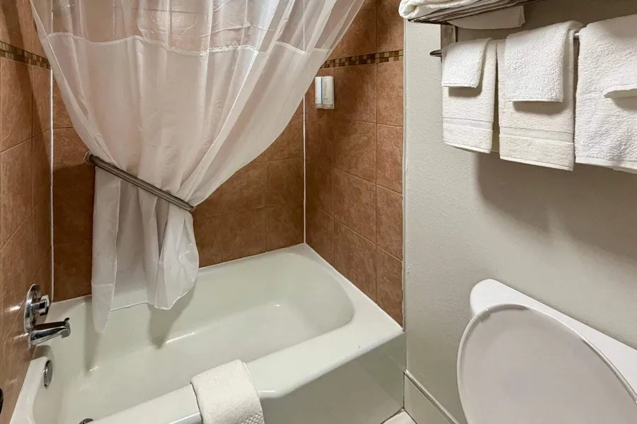 Park Inn by Radisson, Weldon - Roanoke Rapids hotel detail image 6