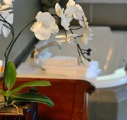 White Rose Inns hotel detail image 5