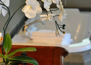 White Rose Inns hotel thumbnail 5