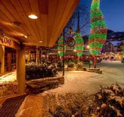 Blackcomb Lodge hotel detail image 4