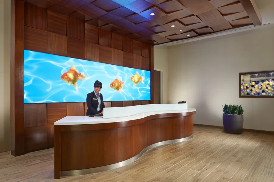 SpringHill Suites by Marriott at Anaheim Resort/Conv. Cntr hotel detail image 6