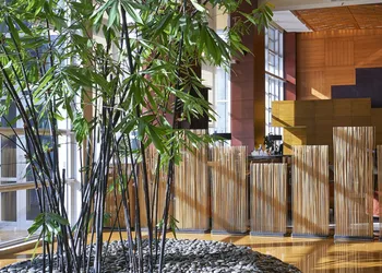 Mandarin Oriental Miami hotel thumbnail 5