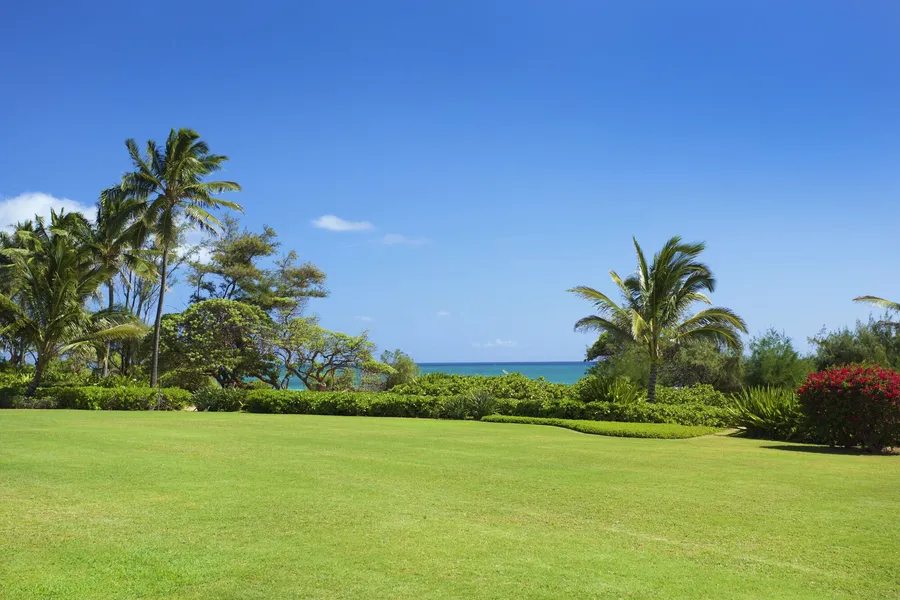 Castle Kaha Lani Resort hotel detail image 6
