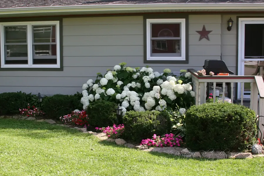 Rainbow Ridge Farms Bed and Breakfast Onalaska/La Crosse hotel detail image 6