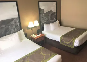 Super 8 by Wyndham St Johns hotel thumbnail 5